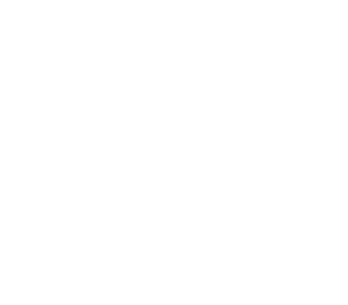 Maximus Capital